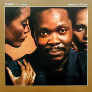 Terry Callier Turn you to love