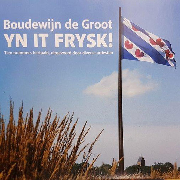 Various Artists Boudewijn de Groot yn it Frysk CD