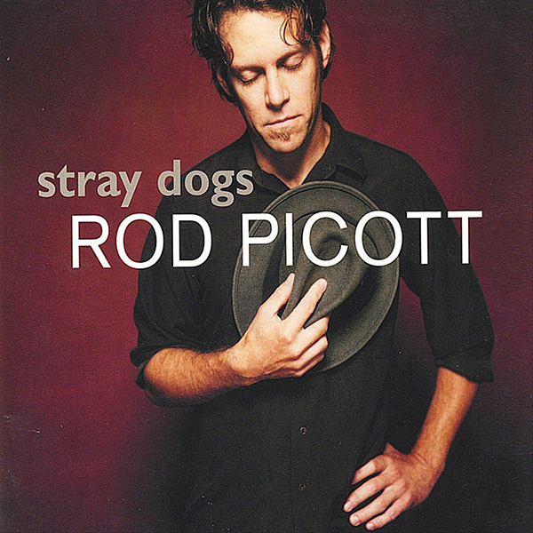 Rod Picott Stray dogs CD