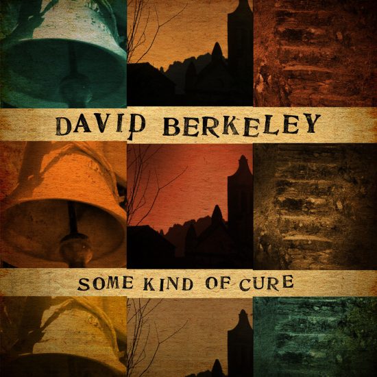 David Berkeley Some kind of cure LP