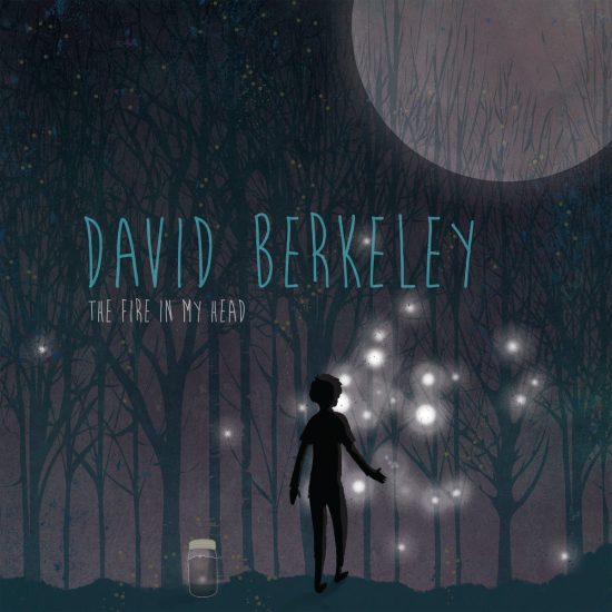 David Berkeley The fire in my head CD